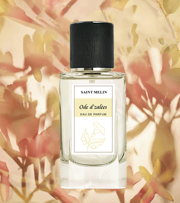 圣美伦经典沙龙系列-杜鹃之歌香水